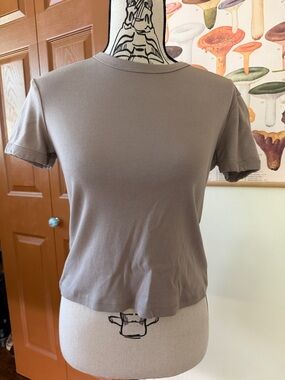 Zara Taupe Short-Sleeve Crewneck Tee